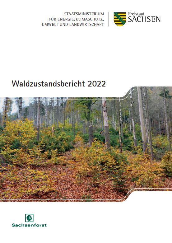 Waldzustandsbericht 2022 Publikationen Sachsen De