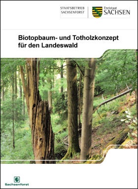 Vorschaubild zum Artikel Biotopbaum- und Totholzkonzept für den Landeswald