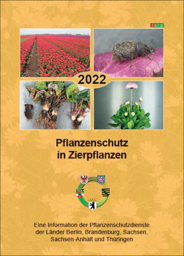Pflanzenschutz in Zierpflanzen 2022 Publikationen sachsen.de