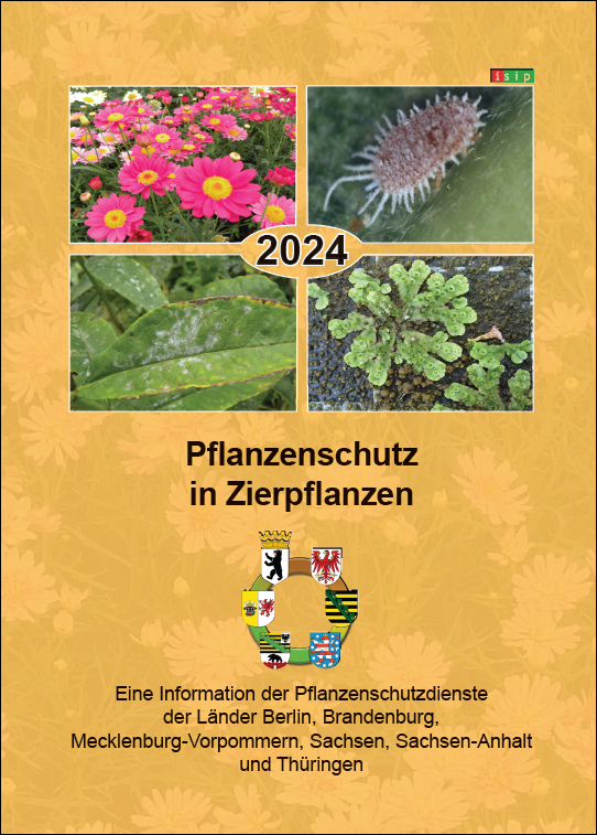 Pflanzenschutz in Zierpflanzen 2024 Publikationen sachsen.de