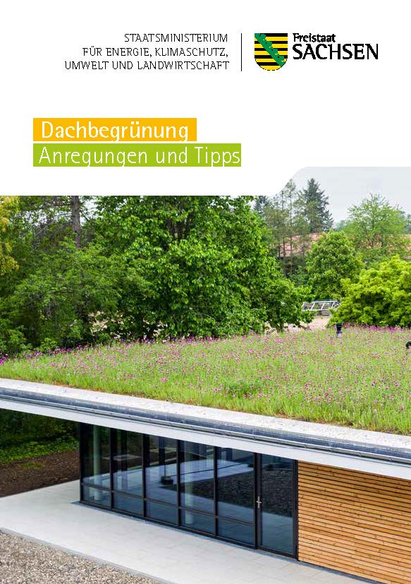 Dachbegrünung