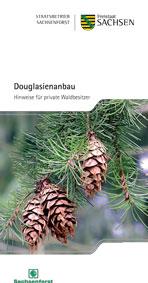 Douglasienanbau