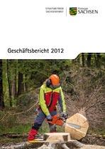 Geschäftsbericht 2012