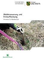 Walderneuerung und Erstaufforstung