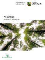 Waldpflege