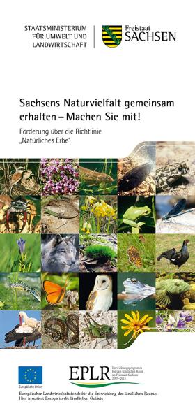 SMUL_Natuerliches_Erbe_Flyer_Titel_Web.jpg
