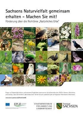 Vorschaubild zum Artikel Sachsens Naturvielfalt gemeinsam erhalten - Machen Sie mit! - Plakat A 2