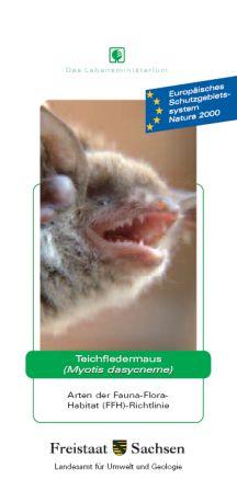 Vorschaubild zum Artikel Teichfledermaus (Myotis dasycneme)