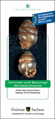 titel_Windelschnecke.jpg