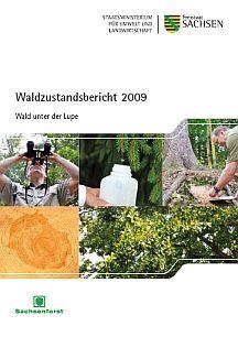 Vorschaubild zum Artikel Waldzustandsbericht 2009