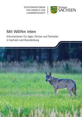 wolf_leben_titel_413.jpg