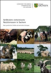 Vorschaubild zum Artikel Gefährdete einheimische Nutztierrassen in Sachsen