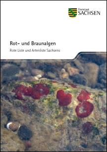 Vorschaubild zum Artikel Rot- und Braunalgen