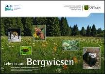 Poster Bergwiesen