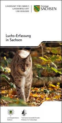 Luchs-Erfassung in Sachsen