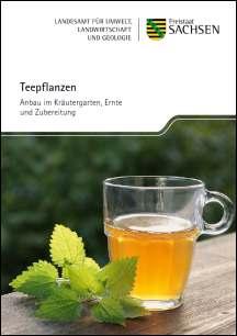 Teepflanzen