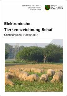 Elektronische Tierkennzeichnung Schaf