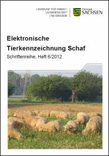 Vorschaubild zum Artikel Elektronische Tierkennzeichnung Schaf