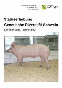 Vorschaubild zum Artikel Statuserhebung Genetische Diversität Schwein