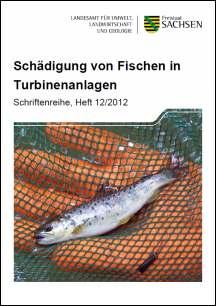 Schädigung von Fischen in Turbinenanlagen