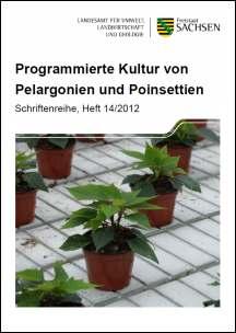 Programmierte Kultur von Pelargonien und Poinsettien