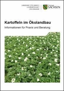 Vorschaubild zum Artikel Kartoffeln im Ökolandbau