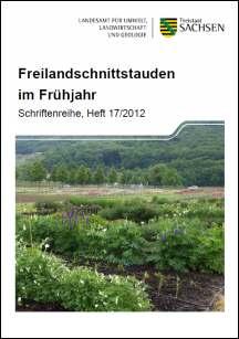 Freilandschnittstauden im Frühjahr