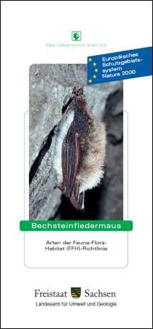 Bechsteinfledermaus