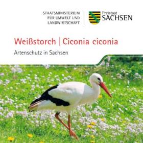 Vorschaubild zum Artikel Weißstorch (Ciconia ciconia) - Heft und Postkarte