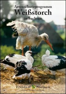 Artenschutzprogramm Weißstorch in Sachsen