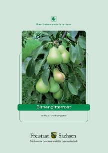 Birnengitterrost