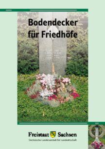 Vorschaubild zum Artikel Bodendecker für Friedhöfe