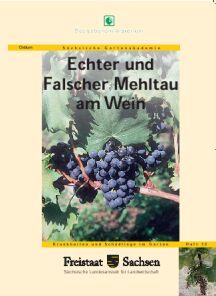 Vorschaubild zum Artikel Echter und Falscher Mehltau am Wein