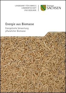 Energie aus Biomasse