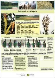 Energiepflanzen zur energetischen Nutzung »Energiefruchtfolgen«