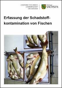 Vorschaubild zum Artikel Erfassung der Schadstoffkontamination von Fischen 2011