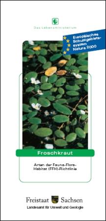 Froschkraut