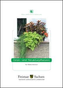 Grün- und Strukturpflanzen für Balkonkästen