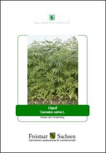 Hanf - Cannabis sativa L.