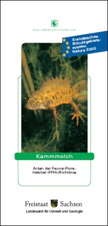 Kammmolch