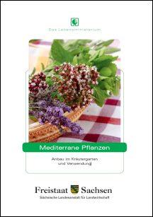 Mediterrane Pflanzen - Anbau im Kräutergarten und Verwendung