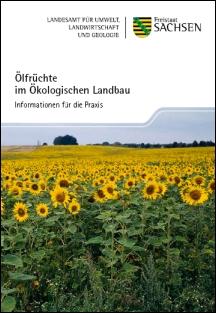 Vorschaubild zum Artikel Ölfrüchte im Ökologischen Landbau