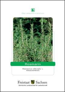 Rosmarin