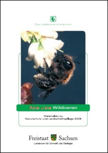 Vorschaubild zum Artikel Rote Liste Wildbienen