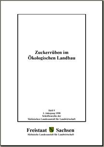 Vorschaubild zum Artikel Zuckerrüben im Ökologischen Landbau