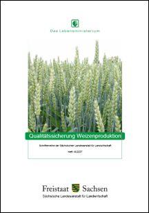 Vorschaubild zum Artikel Qualitätssicherung Weizenproduktion