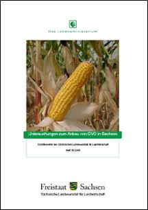 Vorschaubild zum Artikel Untersuchungen zum Anbau von GVO in Sachsen