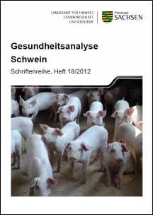 Gesundheitsanalyse Schwein