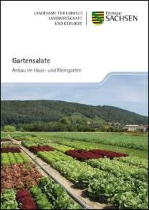 Vorschaubild zum Artikel Gartensalate