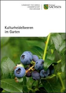 Vorschaubild zum Artikel Kulturheidelbeeren im Garten